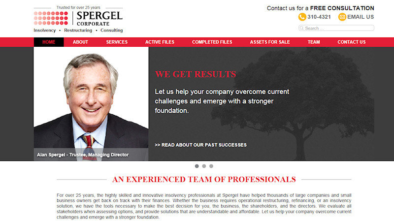 spergel corporate website