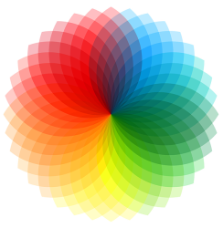 full spectrum of web design in Toronto