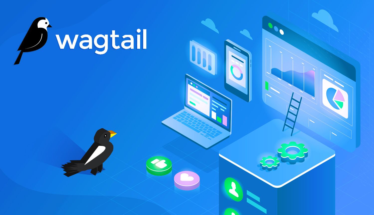 The Ultimate Guide to Wagtail: A Powerful CMS for Modern Websites